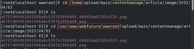 上传图片核查地址